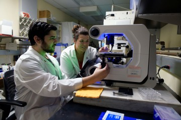 two pain and addiction researchers looking at a microscope in a lab at the University of Arizona Health Sciences