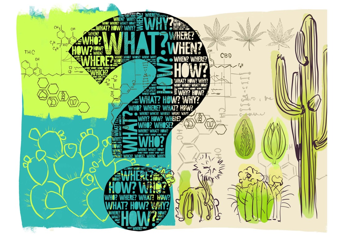 hand-drawn illustration of a black question mark filled with "what?" "when?" "how?" on a background of cactus, cannabis leaves, THC and CBD chemical structures