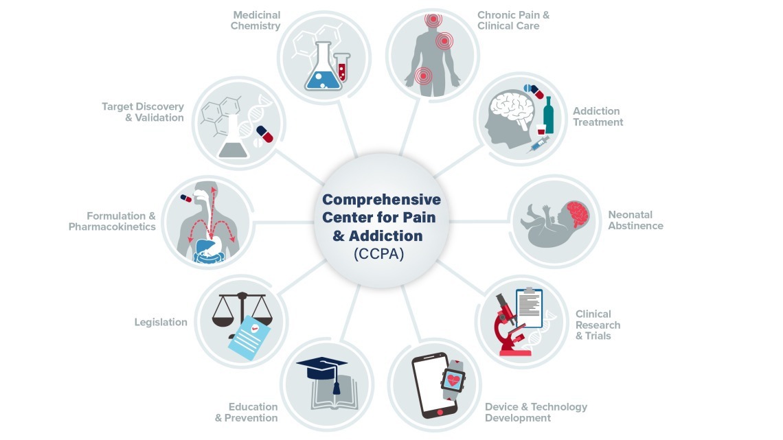 infographic showing eight areas of emphasis for the Comprehensive Center for Pain & Addiction